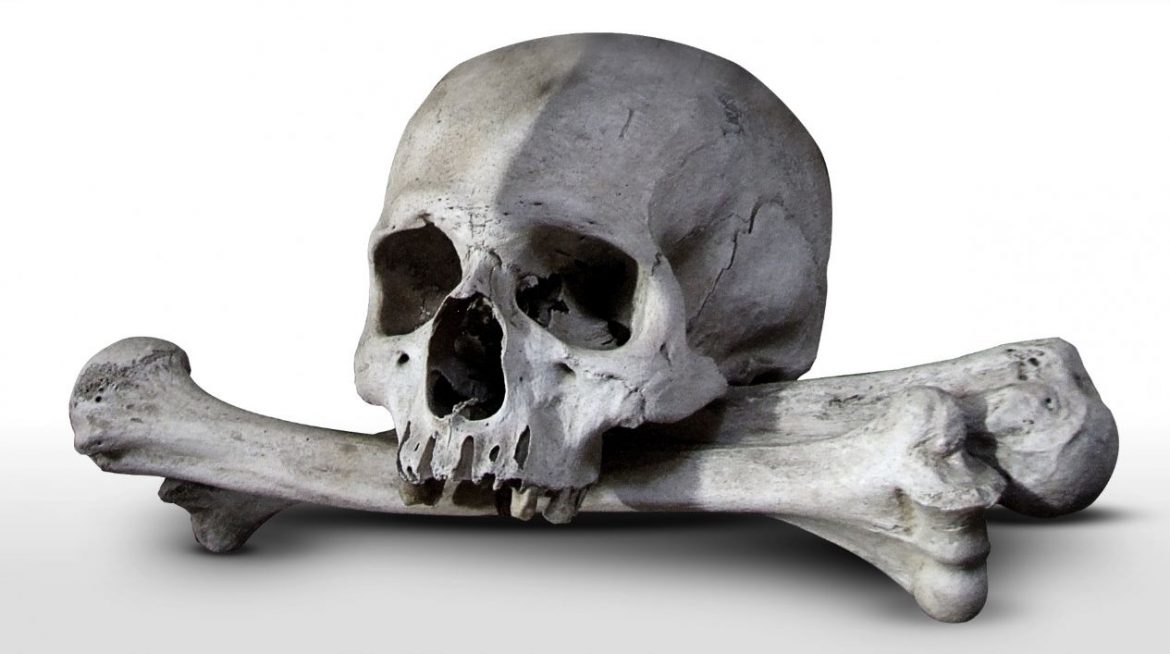 Armenia Should Bring Back Skulls of Five Genocide Victims from Museum in France