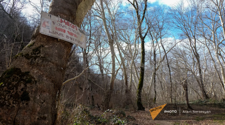 Ադրբեջանական անտառահատումներ Շիկահողի արգելոցում. Նախարարութիւնը տեղեակ է, փաշինեանը` ո՞չ