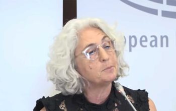 ԵԱՀԿ դիտորդ. Պետական կառոյցի աշխատողների վրայ ճնշումներ են եղել՝ մասնակցելու իշխանութեան հաւաքներին, մտահոգիչ է