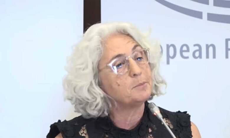 ԵԱՀԿ դիտորդ. Պետական կառոյցի աշխատողների վրայ ճնշումներ են եղել՝ մասնակցելու իշխանութեան հաւաքներին, մտահոգիչ է