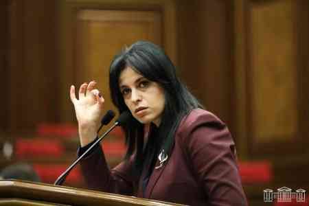 Armenian opposition member says detention motion lacks factual basis