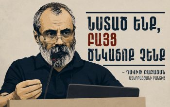 Իրական ոչ մի քայլ չի կատարւում մեր հայրենակիցների ազատ արձակման համար