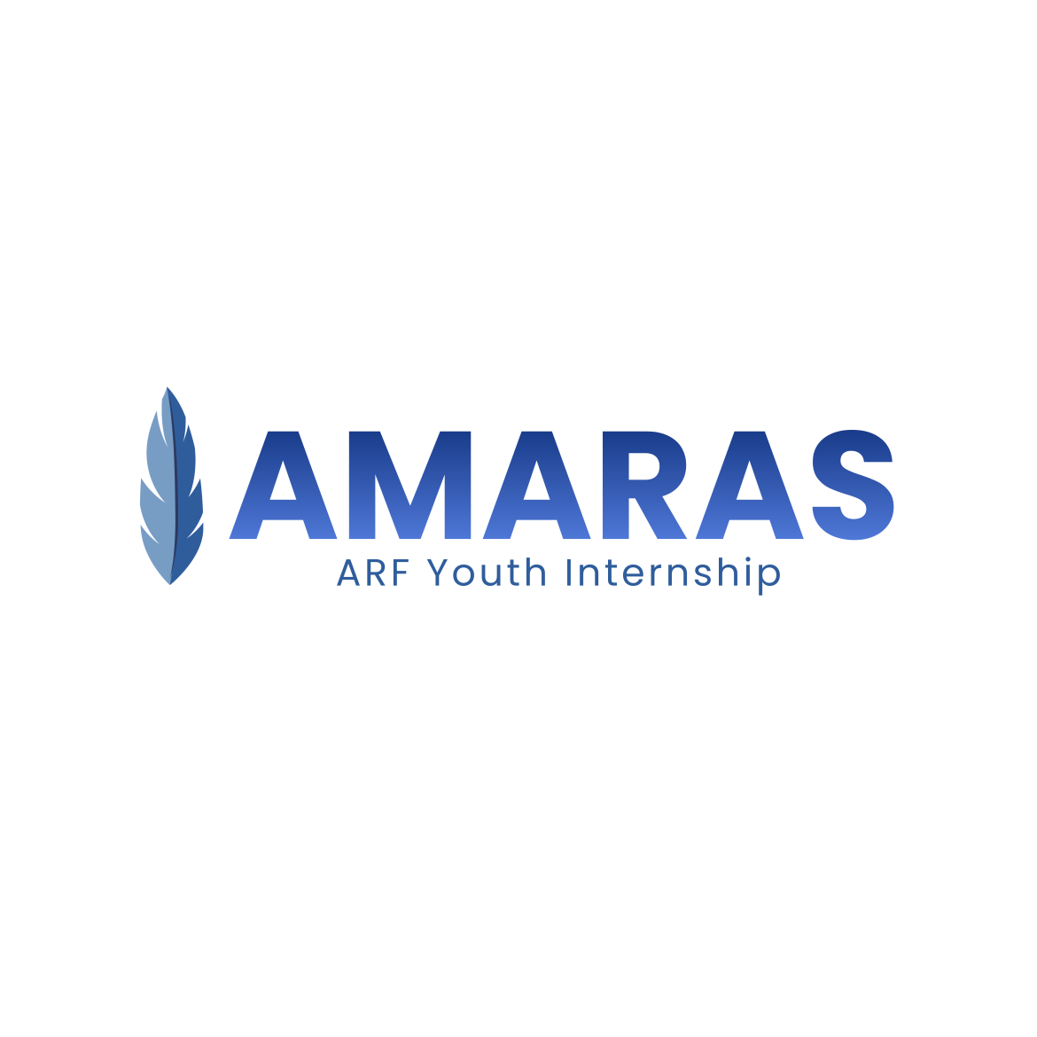 THE “AMARAS” YOUTH INTERNSHIP PROGRAM