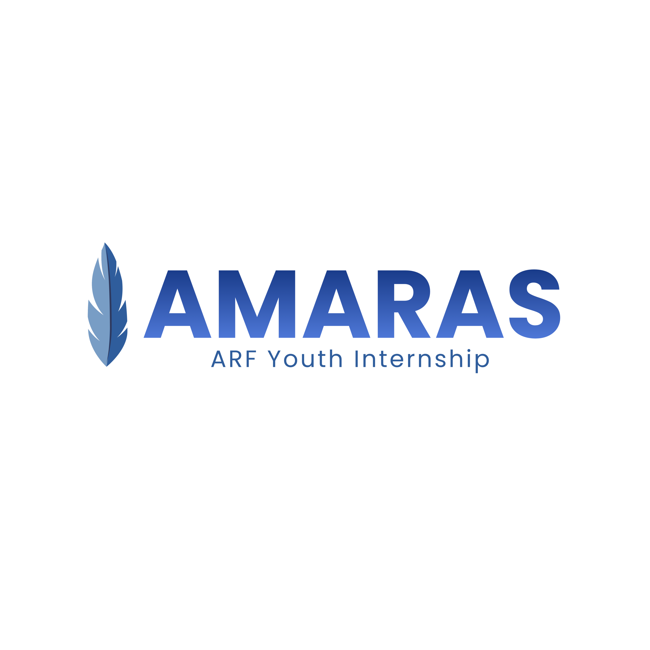 THE “AMARAS” YOUTH INTERNSHIP PROGRAM THE “AMARAS” YOUTH INTERNSHIP PROGRAM